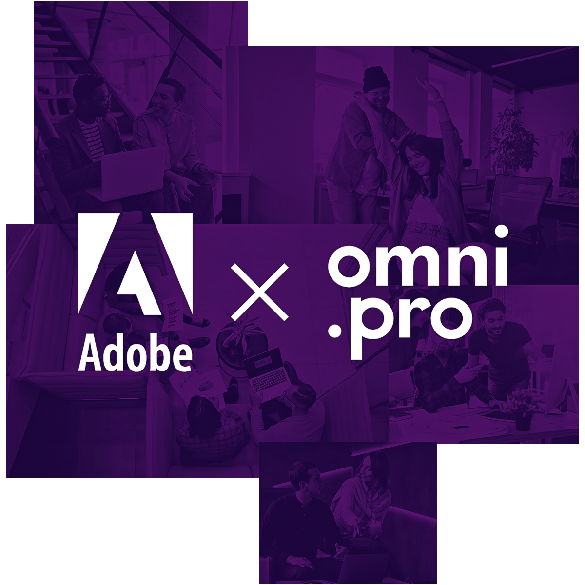 OmniXAdobe-3